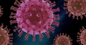 Das Bild zeigt eine Darstellung des Sars2-Virus.